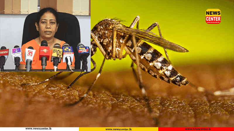  ඩෙංගු රෝගීන් 40,443 ක් දක්වා ඉහළට – ඩෙංගු මරණ 23 ක්