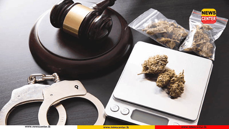 හෑෂ් මත්ද්රව්ය තොගයක් සමඟ ජාවාරම්කරුවෙකු ගල්කිස්සදී අත්අඩංගුවට
